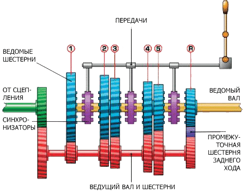 Механическая и автоматическая коробки передач (+ обслуживание и ремонт АКПП)